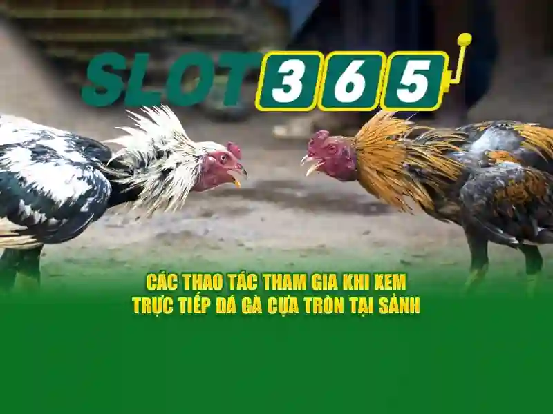 slot365 login link alternatif – Tổng quan chủ đề và giá trị cốt lõi