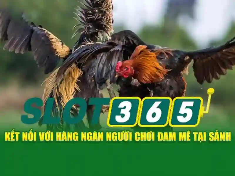 slot365 xx vip – Đỉnh cao trải nghiệm mới 1 Đăng Nhập