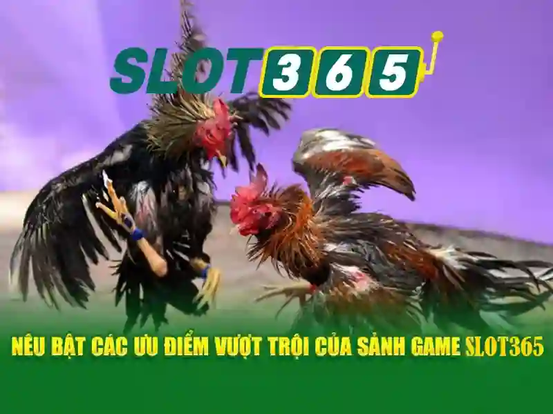 Trai nghiem nguoi dung va phan hoi cong dong cua slot365 vip
