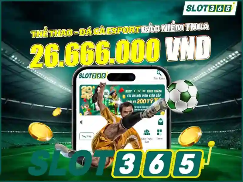 Trải nghiệm người dùng và phản hồi cộng đồng