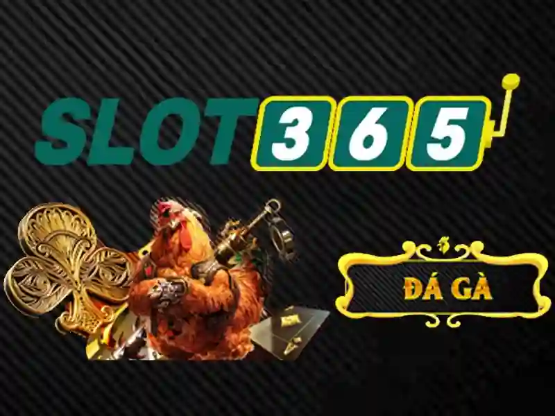 Tổng quan về giấy phép hoạt động Slot365 uy tín