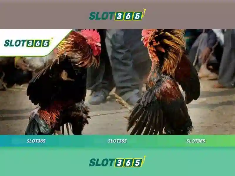 Slot365: Trải nghiệm máy đánh bạc trực tuyến tuyệt vời 1 Đăng Nhập