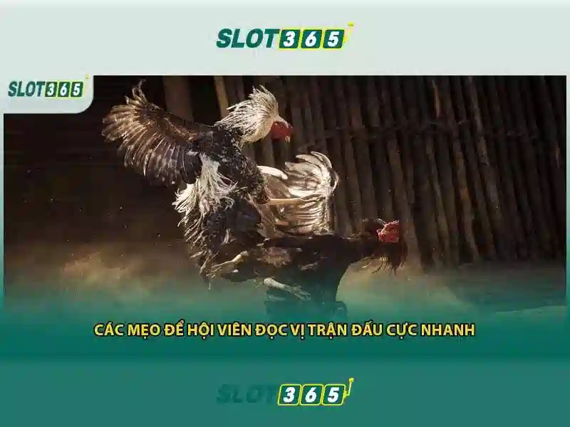 Slot365 - Khám phá thế giới máy đánh bạc trực tuyến uy tín 1 Đăng Nhập