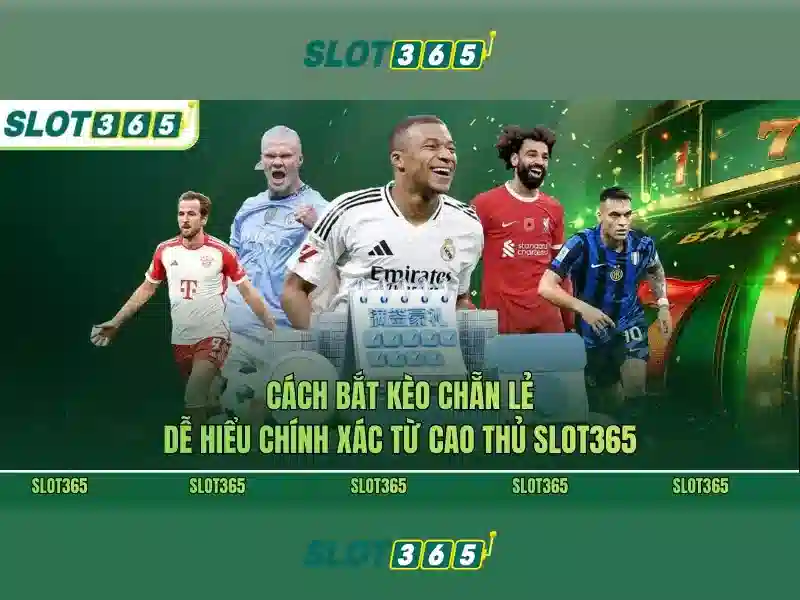Giới thiệu về Slot365 Giới thiệu về Slot365