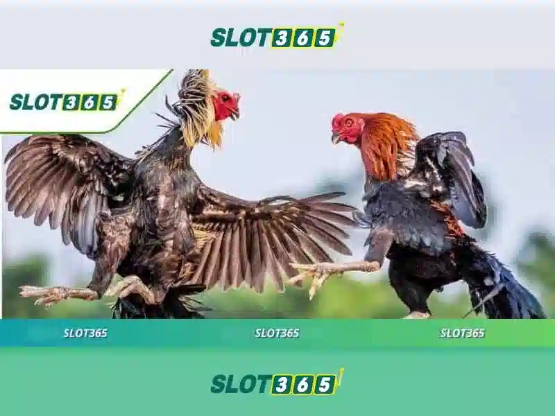 Slot365 - Trải nghiệm chơi slot trực tuyến đáng tin cậy Go88