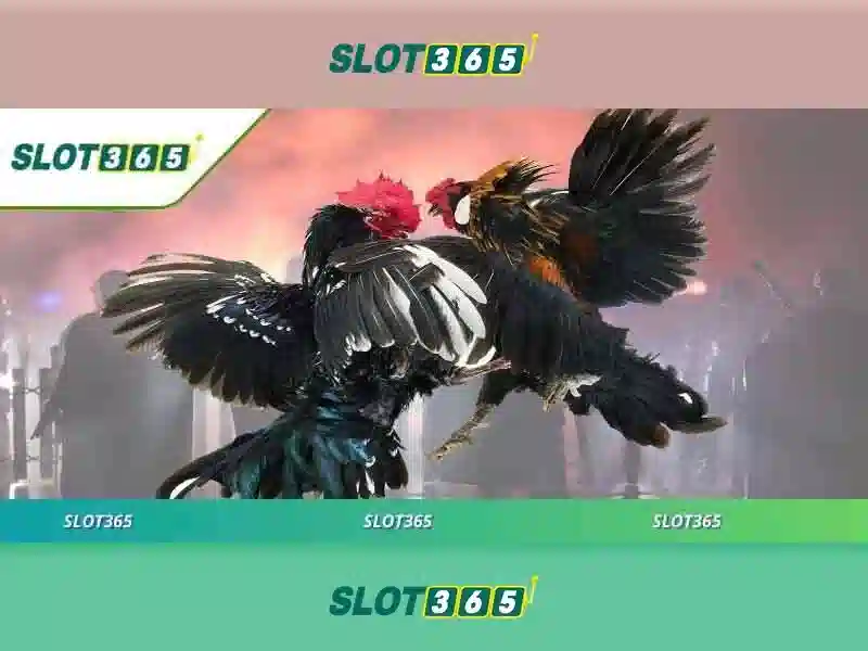 Slot365 - Trải nghiệm slot đỉnh cao Go88