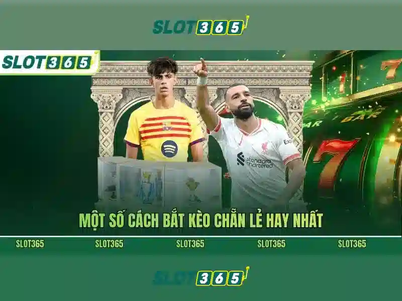 Slot365: Đánh giá và hướng dẫn Go88