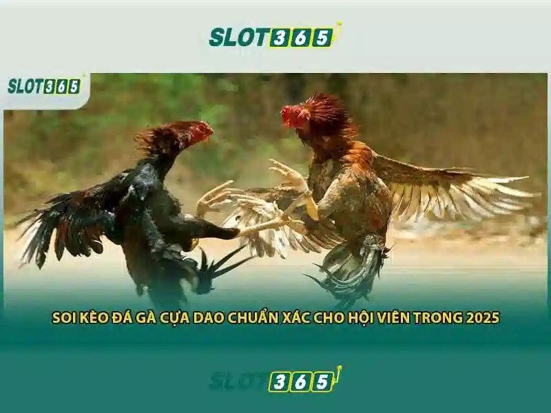 Kho trò chơi và nhà phát triển\n<p>Slot365 hợp tác với các nhà cung cấp hàng đầu như Pragmatic Play, NetEnt, Microgaming để đảm bảo các trò chơi có đồ họa sắc nét, âm thanh sống động và RTP hợp lý.</p>\n\n<h2>Khuyến mãi và phương thức thanh toán</h2>\n<p>Người chơi có thể nhận được bonus welcome, vòng quay miễn phí và chương trình khách hàng thân thiết. Slot365 hỗ trợ nhiều phương thức thanh toán an toàn như thẻ tín dụng, ví điện tử và chuyển khoản ngân hàng.</p>\n\n<h2>Bảo mật và hỗ trợ khách hàng</h2>\n<p>Nền tảng áp dụng mã hóa SSL, kiểm tra bảo mật định kỳ và chính sách trả lời nhanh. Đội ngũ hỗ trợ khách hàng sẵn sàng 24/7 qua chat trực tuyến và email.</p>