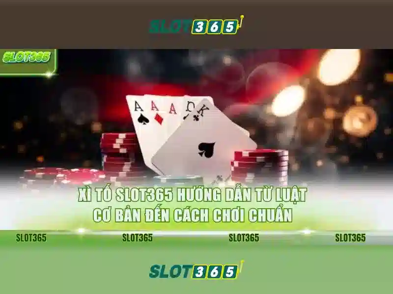 Lời kết
