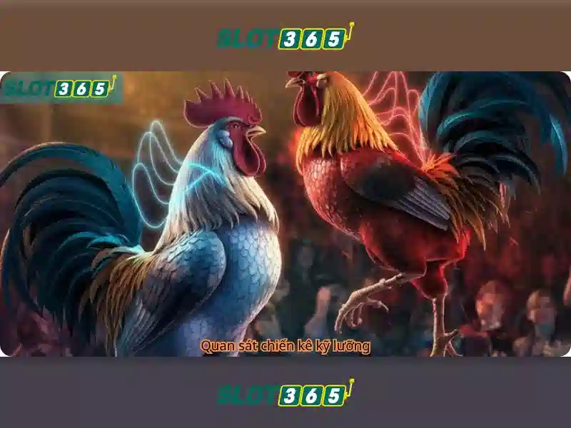 Các tính năng nổi bật của Slot365