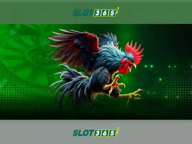 Các yếu tố nổi bật của Slot365