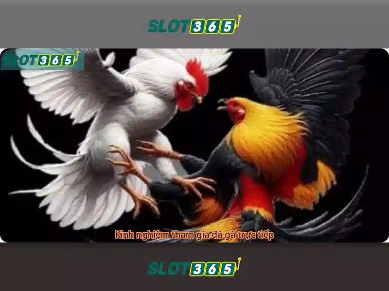 Slot365: Trải nghiệm casino trực tuyến và đánh giá tổng quan Go88