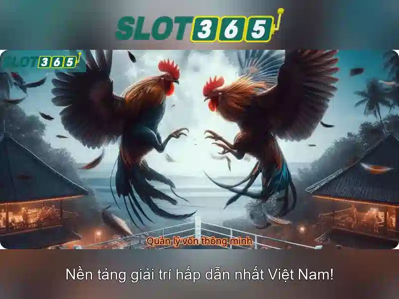 link dự phòng Slot365 – Chủ đề tổng quan và giá trị cốt lõi