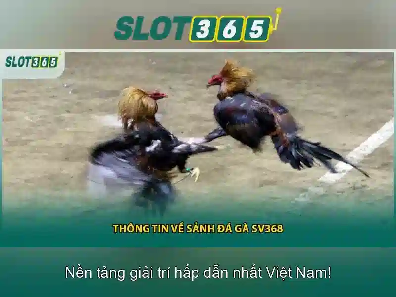 Tính minh bạch và bảo vệ người chơi\n\n<h2>Trải nghiệm chơi mượt mà trên mọi thiết bị</h2>\n<p>Giao diện thích nghi với máy tính để bàn, điện thoại di động và máy tính bảng, cho phép bạn tận hưởng trải nghiệm liền mạch ở bất cứ đâu.</p>\n\n<h2>Lựa chọn thanh toán an toàn và tiện lợi</h2>\n<p>Slot365 hỗ trợ nhiều phương thức nạp rút phổ biến, với thời gian xử lý nhanh chóng và bảo mật tối ưu để bạn yên tâm chơi game.</p> Tính minh bạch và bảo vệ người chơi\n\n<h2>Trải nghiệm chơi mượt mà trên mọi thiết bị</h2>\n<p>Giao diện thích nghi với máy tính để bàn, điện thoại di động và máy tính bảng, cho phép bạn tận hưởng trải nghiệm liền mạch ở bất cứ đâu.</p>\n\n<h2>Lựa chọn thanh toán an toàn và tiện lợi</h2>\n<p>Slot365 hỗ trợ nhiều phương thức nạp rút phổ biến, với thời gian xử lý nhanh chóng và bảo mật tối ưu để bạn yên tâm chơi game.</p>