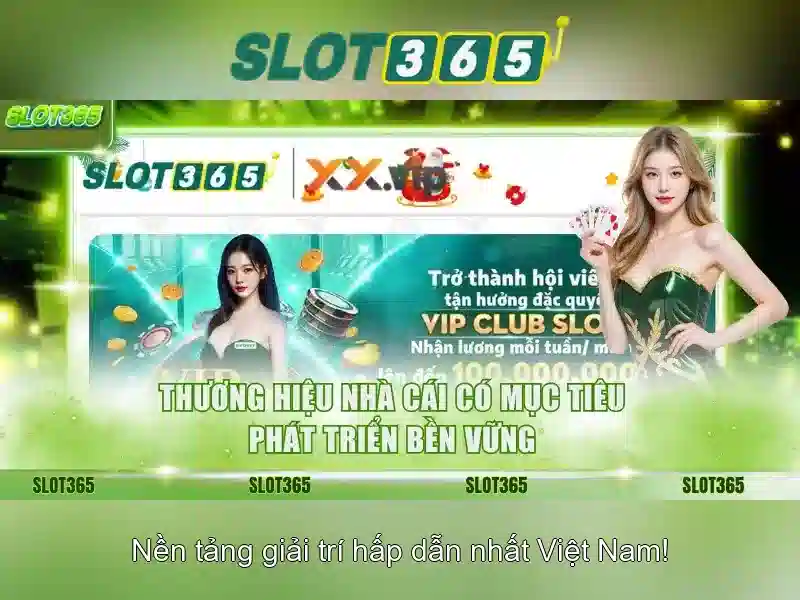 Tiền thưởng và chương trình khách hàng