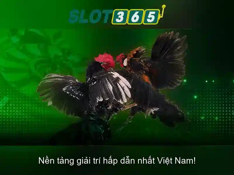 Slot365: Trải nghiệm chơi slot hàng đầu Go88