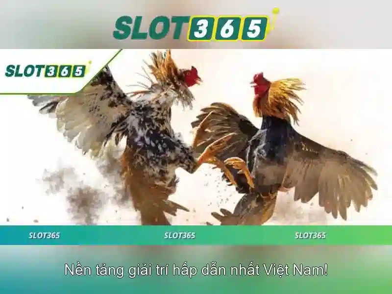 Trải nghiệm người dùng mượt mà Trải nghiệm người dùng mượt mà