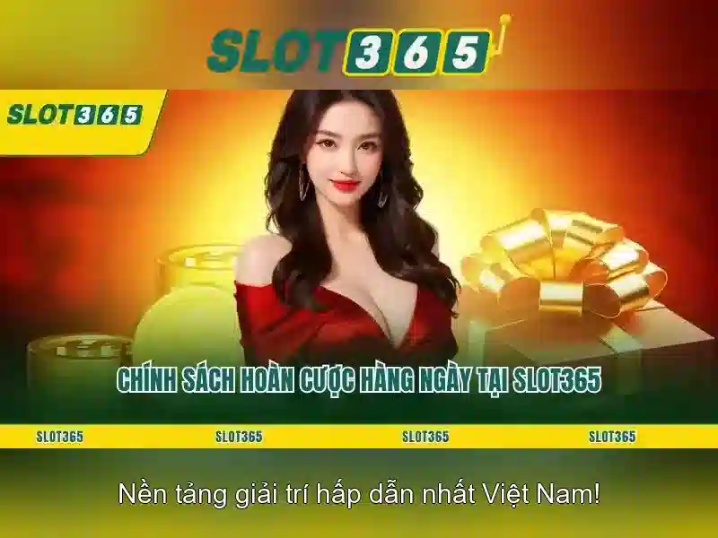 Nền tảng và giao diện người dùng