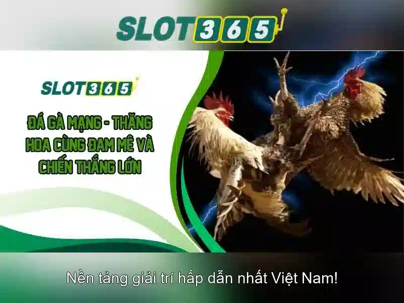 An toàn và tuân thủ pháp lý Slot365 An toàn và tuân thủ pháp lý Slot365