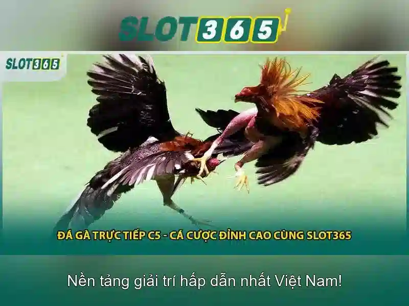 Lợi thế của Slot365 Lợi thế của Slot365
