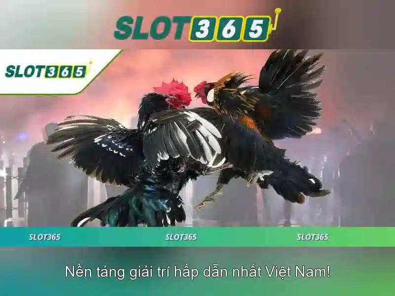 Hướng dẫn tham gia Hướng dẫn tham gia