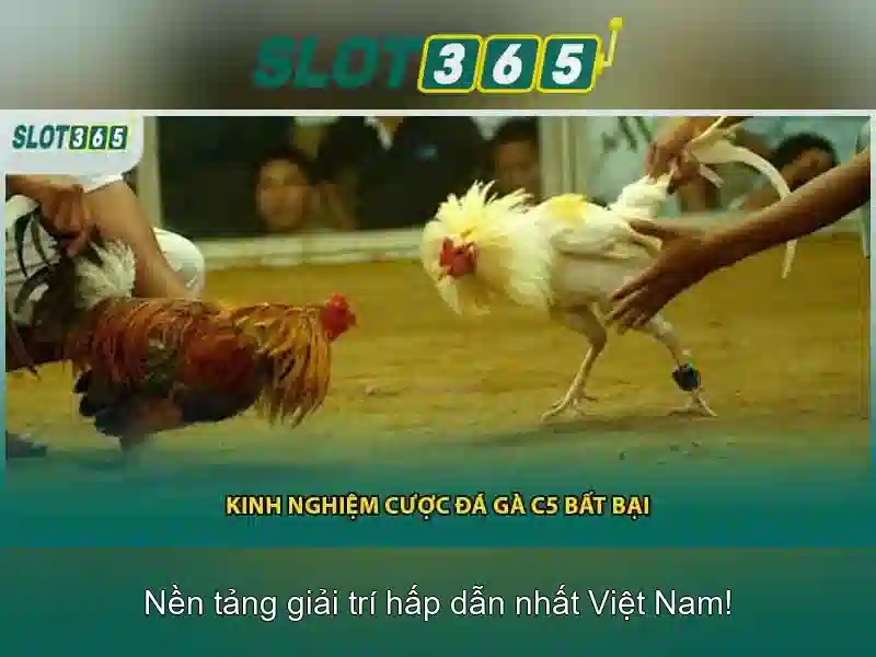 Đăng Nhập