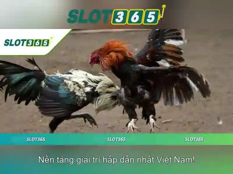 Ưu đãi và chương trình khuyến mãi