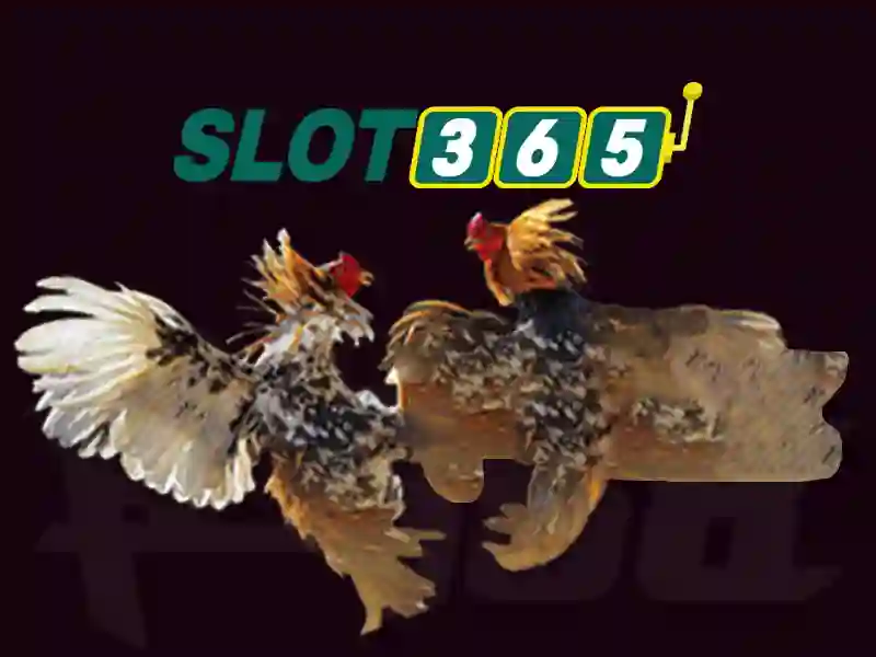 Slot365 – Trải nghiệm slot trực tuyến hàng đầu Go88
