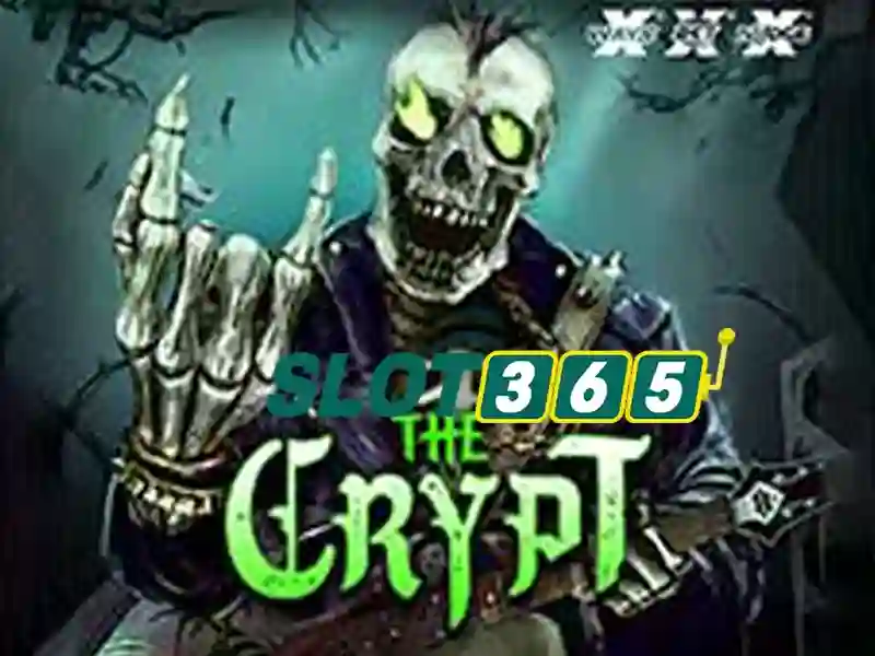 Trải nghiệm người dùng và phản hồi cộng đồng